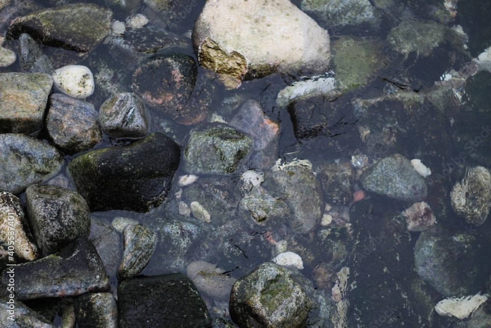 winter seashore