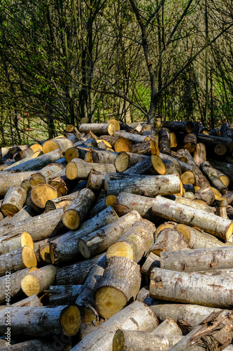 Bild auf Leinwand Raw chestnut material ready for working into products
