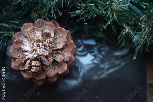 pine cones on snow