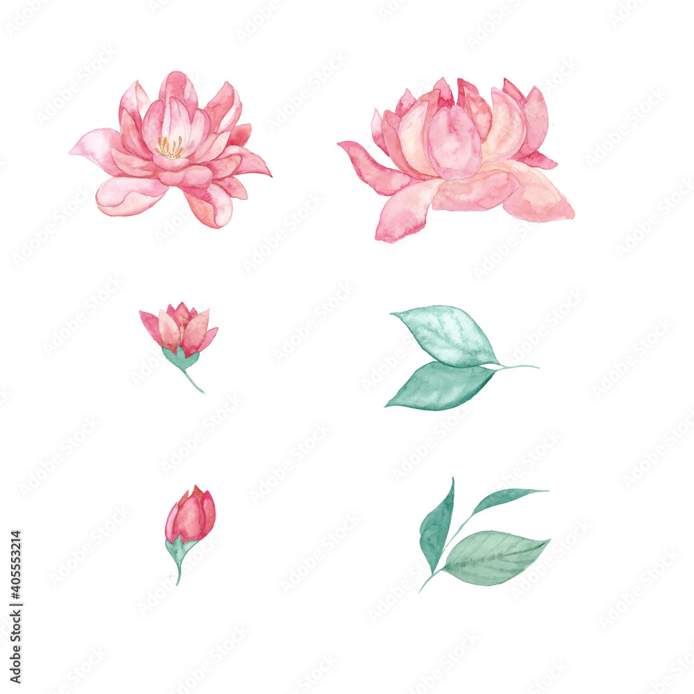 Hand painted watercolor peony set clip art