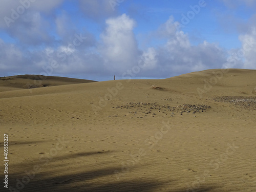 Landscape in the Natural Park of Dunes and Oasis of Maspalomas with the lighthouse in the rear. South of Gran Canaria Island. Spain. 