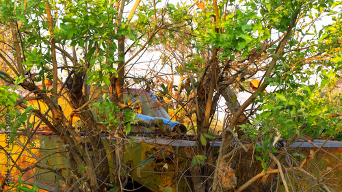 Old Rusted tanks in the bush of Angola, dating back to the South African, Angolese bush war, involving Cuban, Russian tanks, and vehicles. Green grass and trees surround the tanks. photo