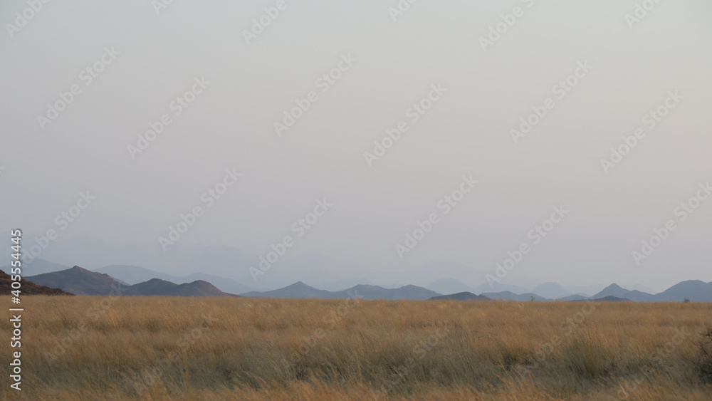 Brown Savanah grasslands and small thorn bush in the Iona National Park with mountains in the distance