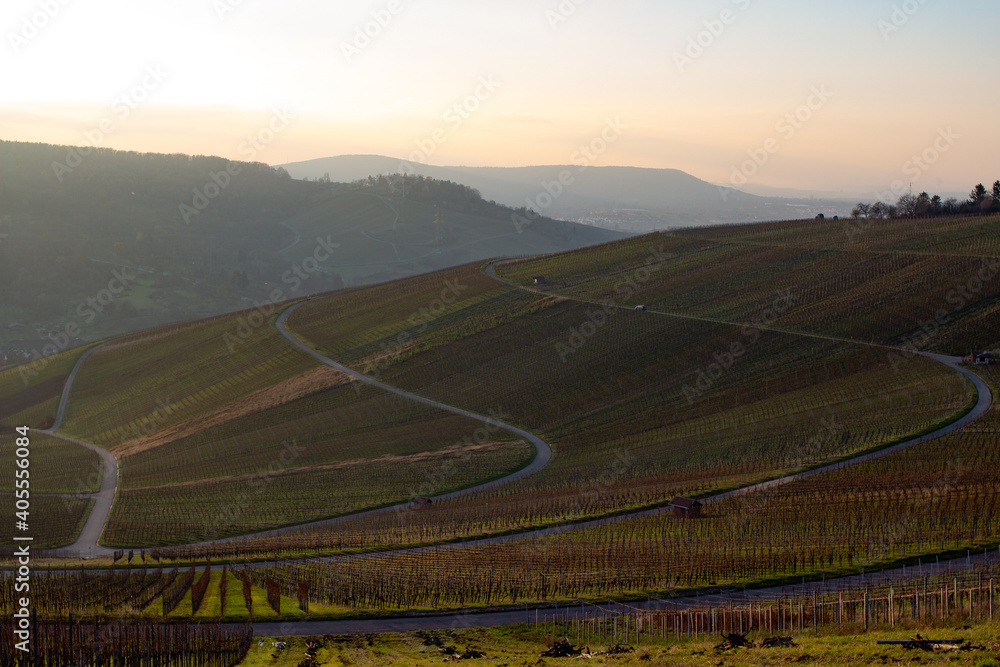 Fototapeta Ausblick über Weinberge 
