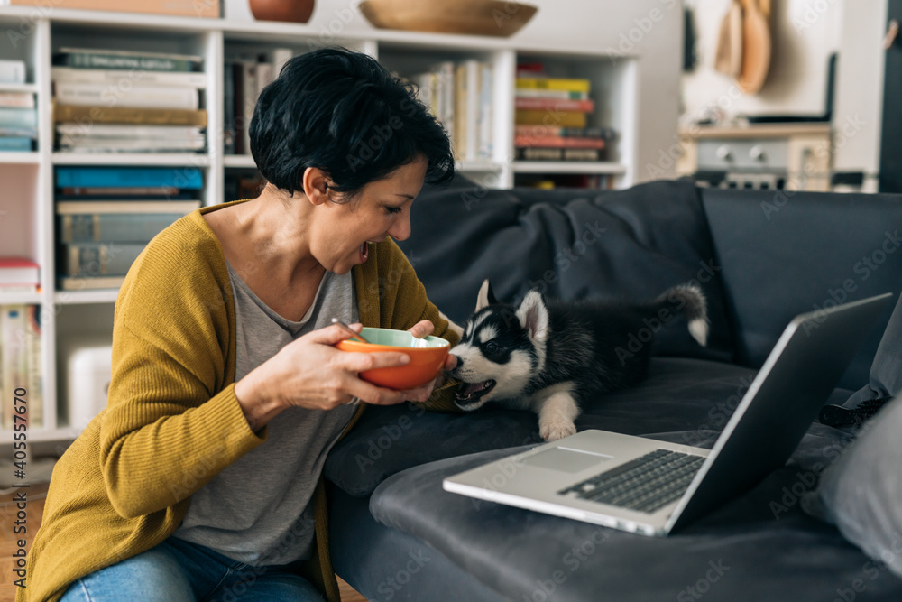 woman sitting on sofa with her dog and having snack woman sitting on sofa with her dog and having snack