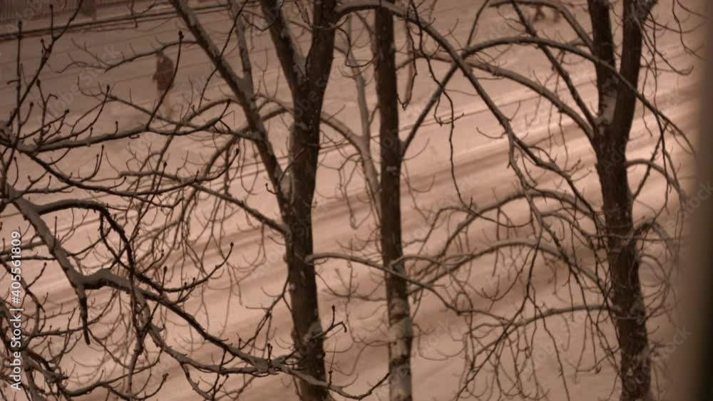Snowfall. Night. Cars drive along the street under the snow Snowfall. Night. Cars drive along the street under the snow