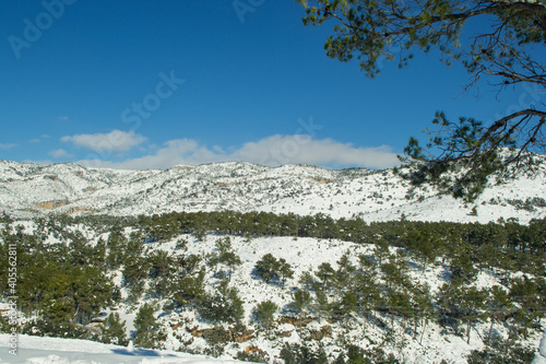 Fantastic winter landscape with trees and snow-covered mountains.