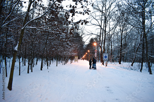 Peoples on walk in winter forest