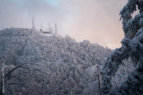 Winter landscape at sunset with no people and with trees covered by snow in the foreground and a cold snowy forest in the background. A building surrounded by transmitters is visible on top.