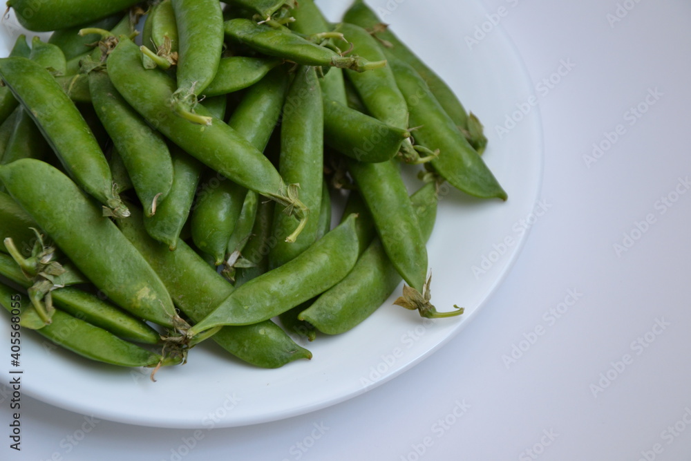 Green pea pods from farmland. Pea freshly picked. Organic spring pea pods. Fresh vegetables. Healthy eating. Country garden harvest. Green pea pods from farmland. Pea freshly picked. Organic spring pea pods. Fresh vegetables. Healthy eating. Country garden harvest.