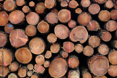 Stack of wood. Part of a wood pile with cut needle wood. Wood industry. Brown background