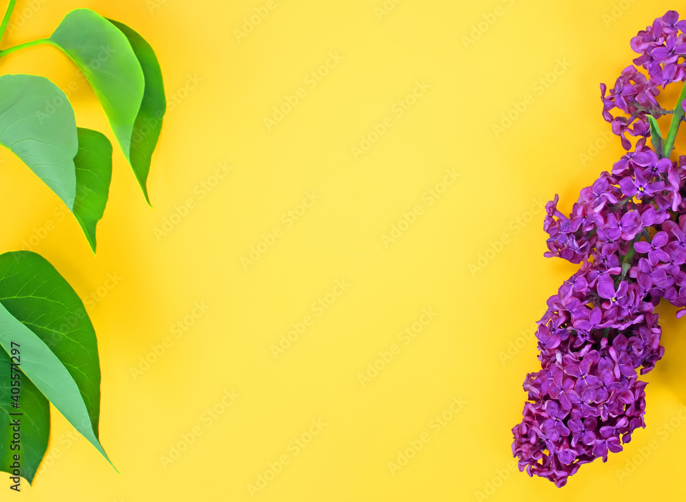 Obraz premium Leaves and flowers of lilac on a yellow background