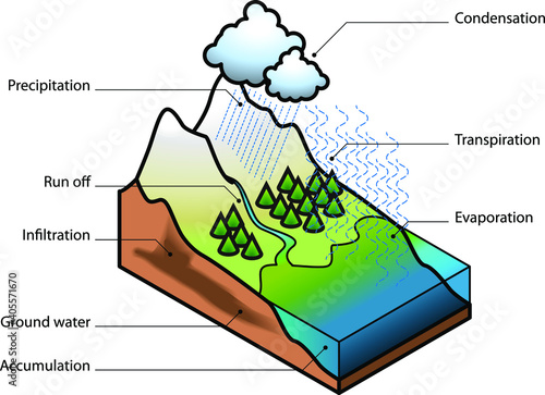 The water cycle showing evaporation, transpiration, condensation, precipitation, run off, infiltration, ground water and accumulation.