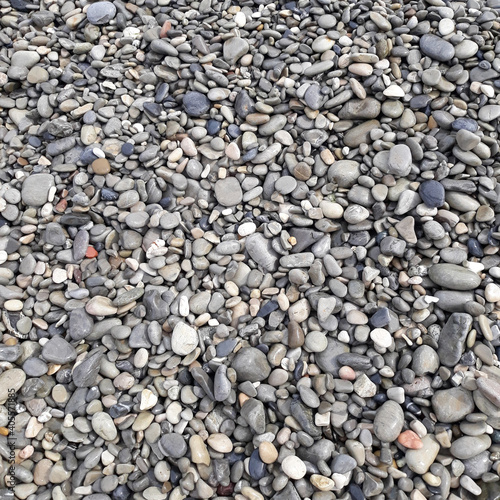 Shiny Wet Multicolored Pebbles on a Beach