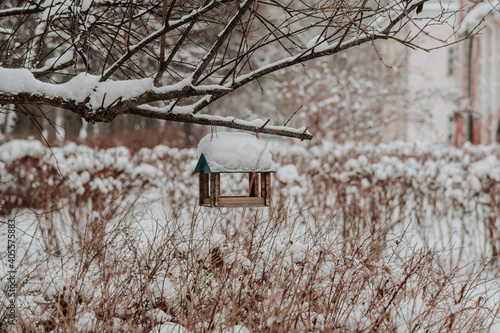 Wooden bird feeder on a tree, winter. There is a lot of snow around © roman38russ