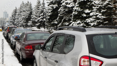 a row of cars parked along the sidewalk against the background of tall fir trees in winter
