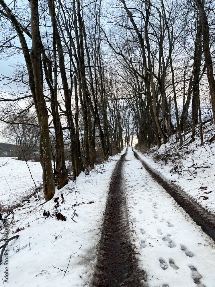 Walpole, New Hampshire, USA. 2021. Snow covered country lane lined with trees close to the Vermont and New hampshire border, USA. Walpole, New Hampshire, USA. 2021. Snow covered country lane lined with trees close to the Vermont and New hampshire border, USA.