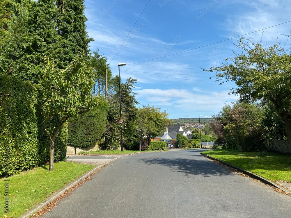 View along, Hillway, with old trees, houses, and a blue sky in, Guiseley, Leeds, UK
