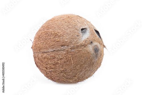 Brown coconut isolated on white background. © prasong.