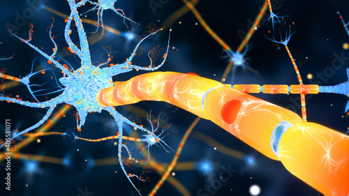 Neuronas and Synapse 3D render. Neuronal activity in the brain, neural network, neuroactivity, synapses, dendrid, neurotransmitters, myelin, Schwann cells, brain, axons. 
