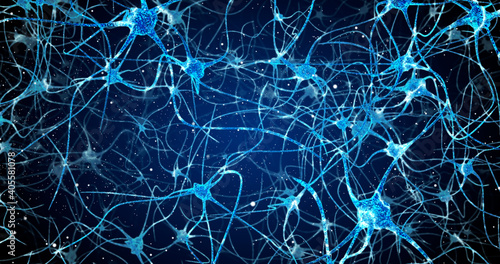 Neurons in the head - flight, neuroactivity, synapses, Neurotransmitters, brain, axons