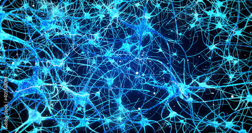 Neurons in the head - flight, neuroactivity, synapses, Neurotransmitters, brain, axons