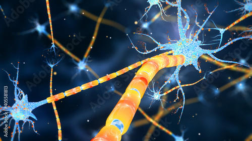Neuronas and Synapse 3D render. Neuronal activity in the brain, neural network, neuroactivity, synapses, dendrid, neurotransmitters, myelin, Schwann cells, brain, axons.