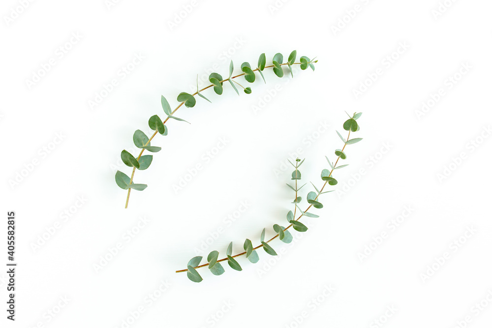 Wreath frame made of branches eucalyptus and leaves isolated on white background. Flat lay, top view Wreath frame made of branches eucalyptus and leaves isolated on white background. Flat lay, top view