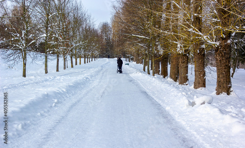 Snow-covered street in a city park surrounded by trees