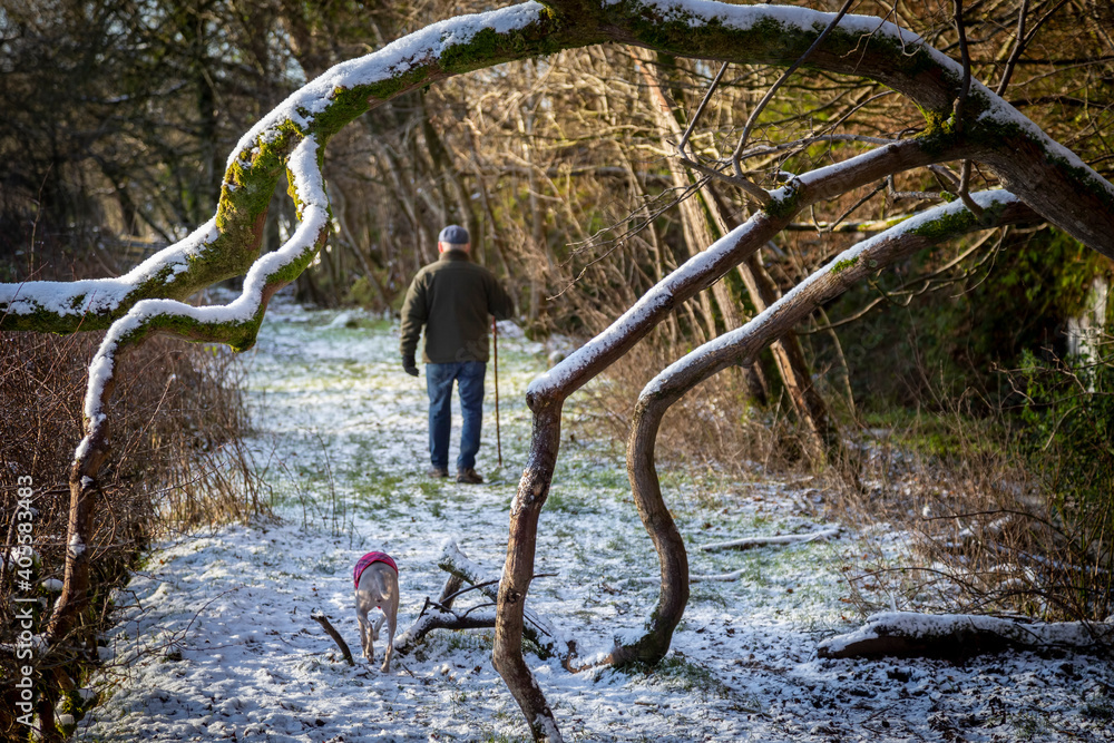 Naklejka premium walking in the countryside in snow in Scotland