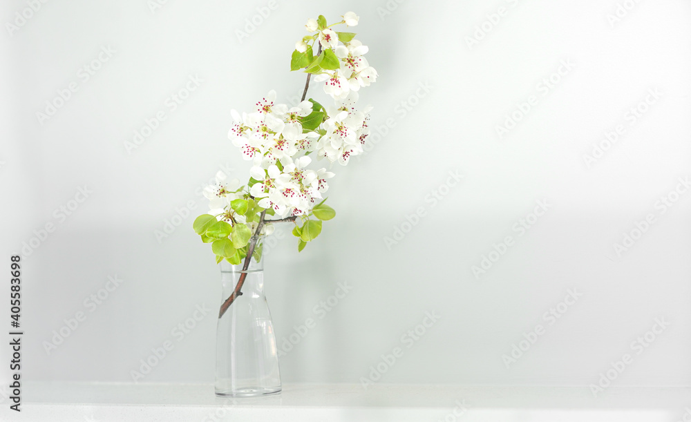 branch of blooming sakura in a glass vase, minimalism in the interior, home design