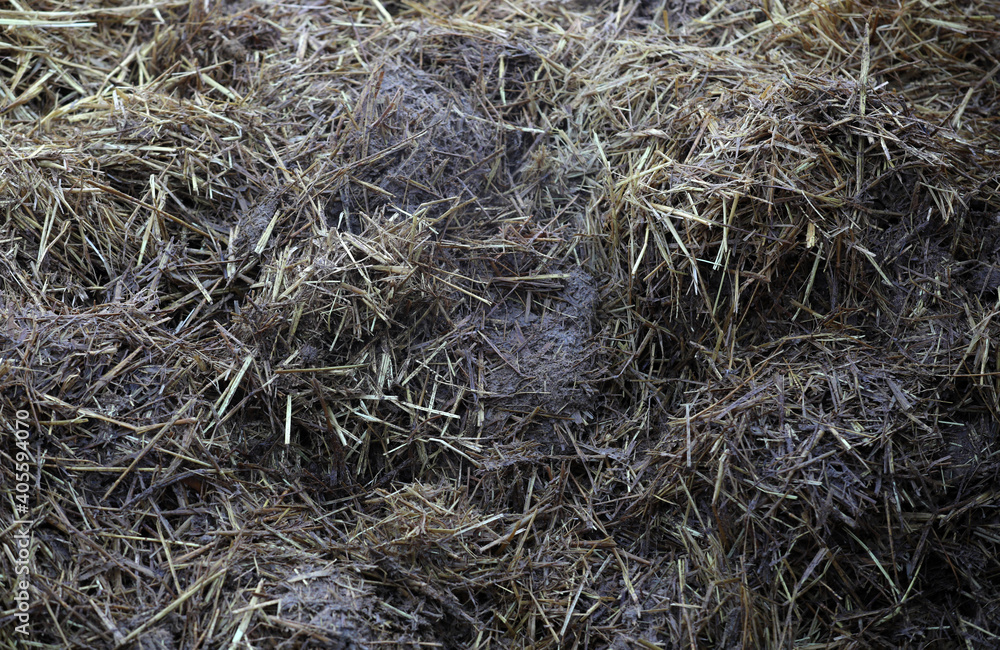 Animal manure as fertilizer for the cultivation field