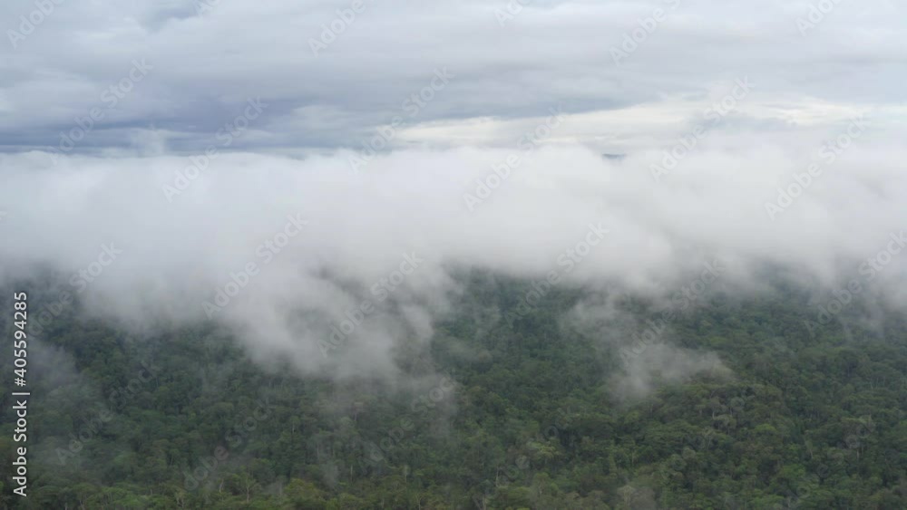 Aerial view of tropical forest in the Amazon of Ecuador showing a layer of clouds covering the tree canopy Aerial view of tropical forest in the Amazon of Ecuador showing a layer of clouds covering the tree canopy