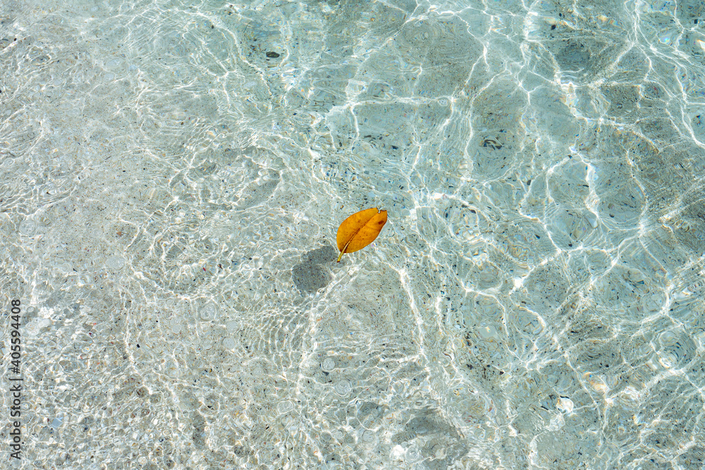 Naklejka premium Dry leaf floating on clear sea water abstract