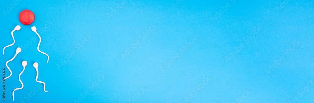 Active sperm swim in an egg on a blue background. The concept of pregnancy, fertilization of the egg. Top view with place for text Active sperm swim in an egg on a blue background. The concept of pregnancy, fertilization of the egg. Top view with place for text