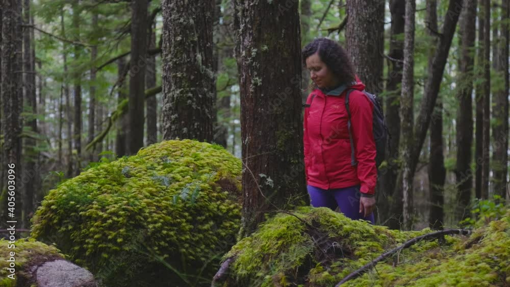 Girl Hiking on a Path in the Rain Forest during a rainy Winter Season. Squamish, North of Vancouver, British Columbia, Canada. Slow motion Girl Hiking on a Path in the Rain Forest during a rainy Winter Season. Squamish, North of Vancouver, British Columbia, Canada. Slow motion