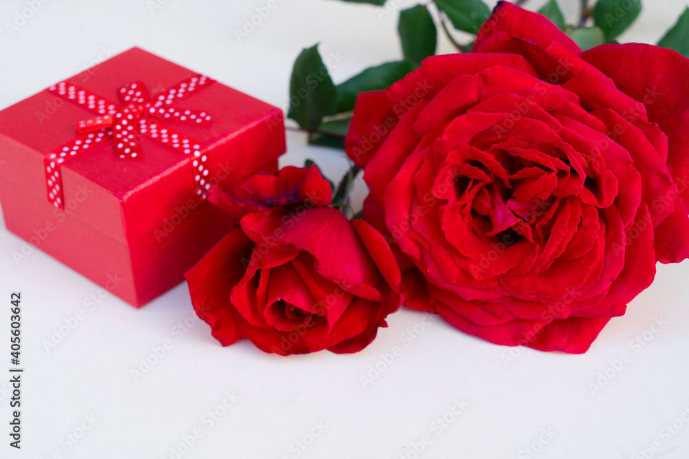 dark red roses on table dark red roses on table