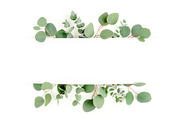 Frame, border made of green leaves eucalyptus isolated on white background. flat lay, top view