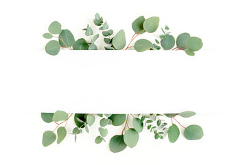 Frame, border made of green leaves eucalyptus isolated on white background. flat lay, top view