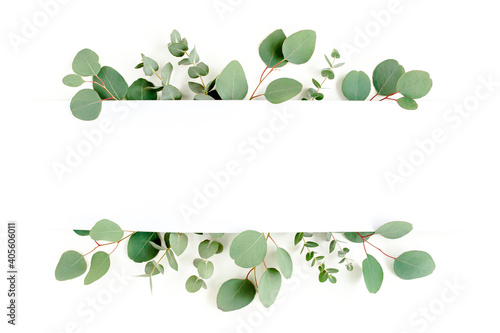 Frame, border made of green leaves eucalyptus isolated on white background. flat lay, top view