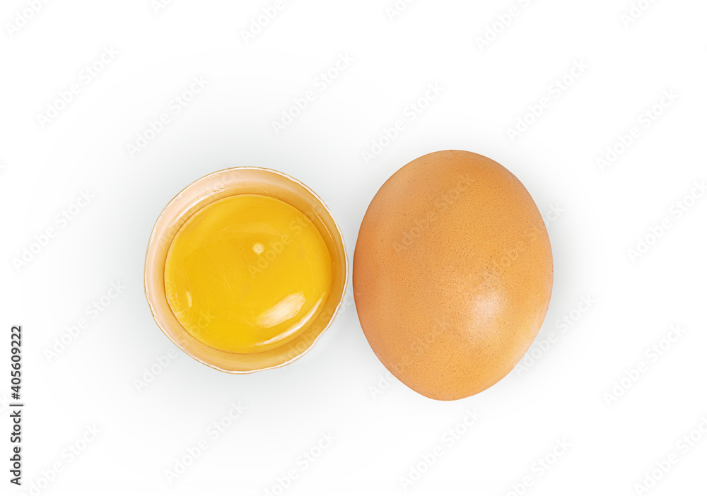 chicken egg brown on white background