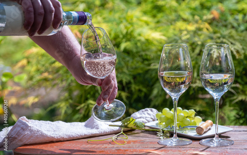 Pouring of Pinot gridgio rose wine for tasting on winery in Veneto, Italy. Glasses of cold dry wine served outdoor in sunny day photo