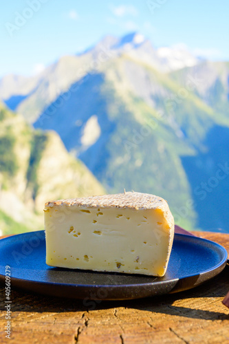 Картината върху платно Cheese collection, French tomme de savoie or tome des bauges cheese served outdo