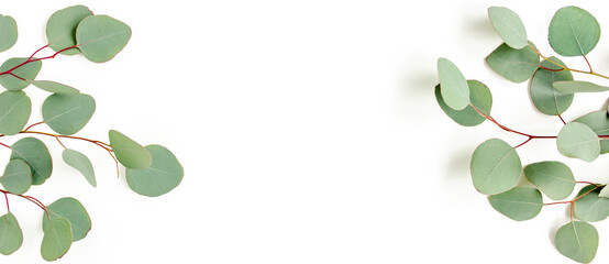 Frame, border made of green leaves eucalyptus isolated on white background. flat lay, top view