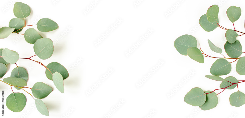Frame, border made of green leaves eucalyptus isolated on white background. flat lay, top view