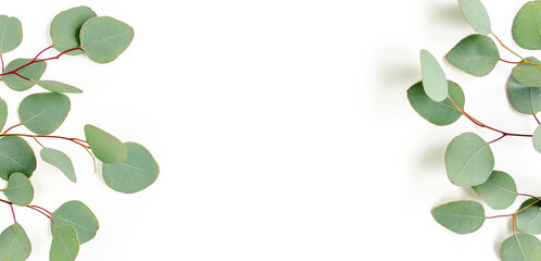 Frame, border made of green leaves eucalyptus isolated on white background. flat lay, top view