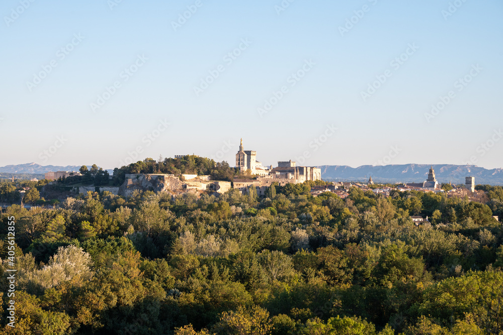 Panoramic view on old walls and palace of popes in ancient city Avignon, South of France