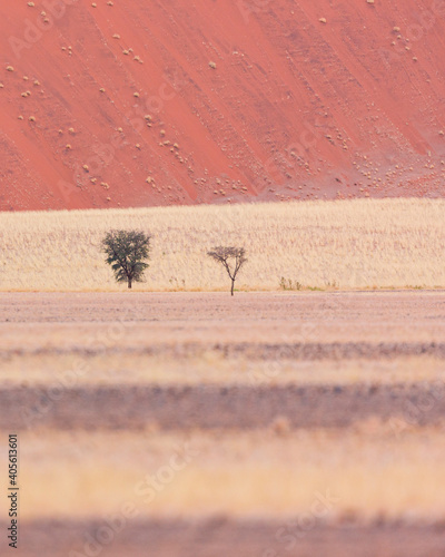 Sossus Vlei  Sesriem  Parque Nacional Namib Naukluft  Desierto del Namib  Namibia  Afirca