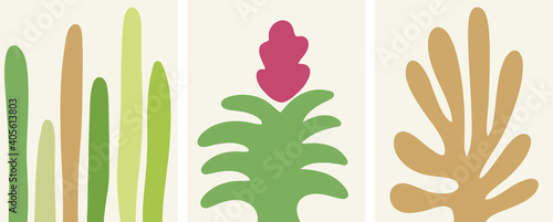  Botanical mid-century modern vector set. Floral Bromelia cactus plant art illustration