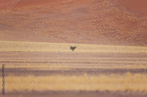 Sossus Vlei, Sesriem, Parque Nacional Namib Naukluft, Desierto del Namib, Namibia, Afirca